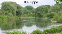 Lippe_web